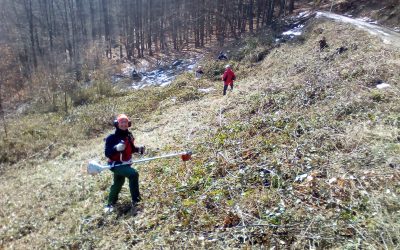 Arbeitseinsatz in Erlau