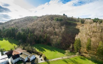 Erlau Abflugbereich Schneise geschaffen